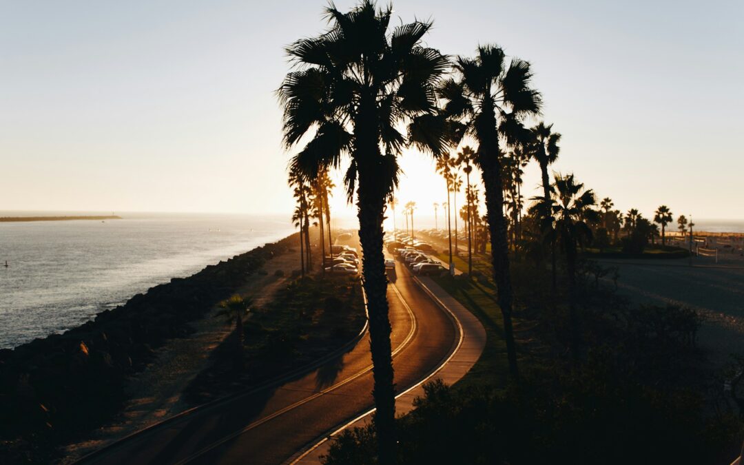 Winding road on Mission Beach as the sun sets behind palm trees